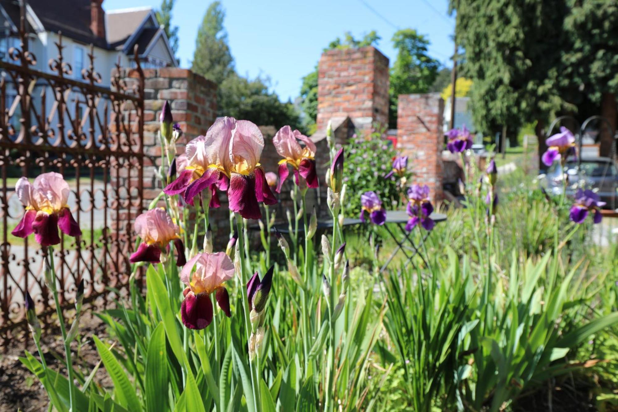 Adams Pragge House - Victorian Bed & Breakfast Port Townsend Bagian luar foto