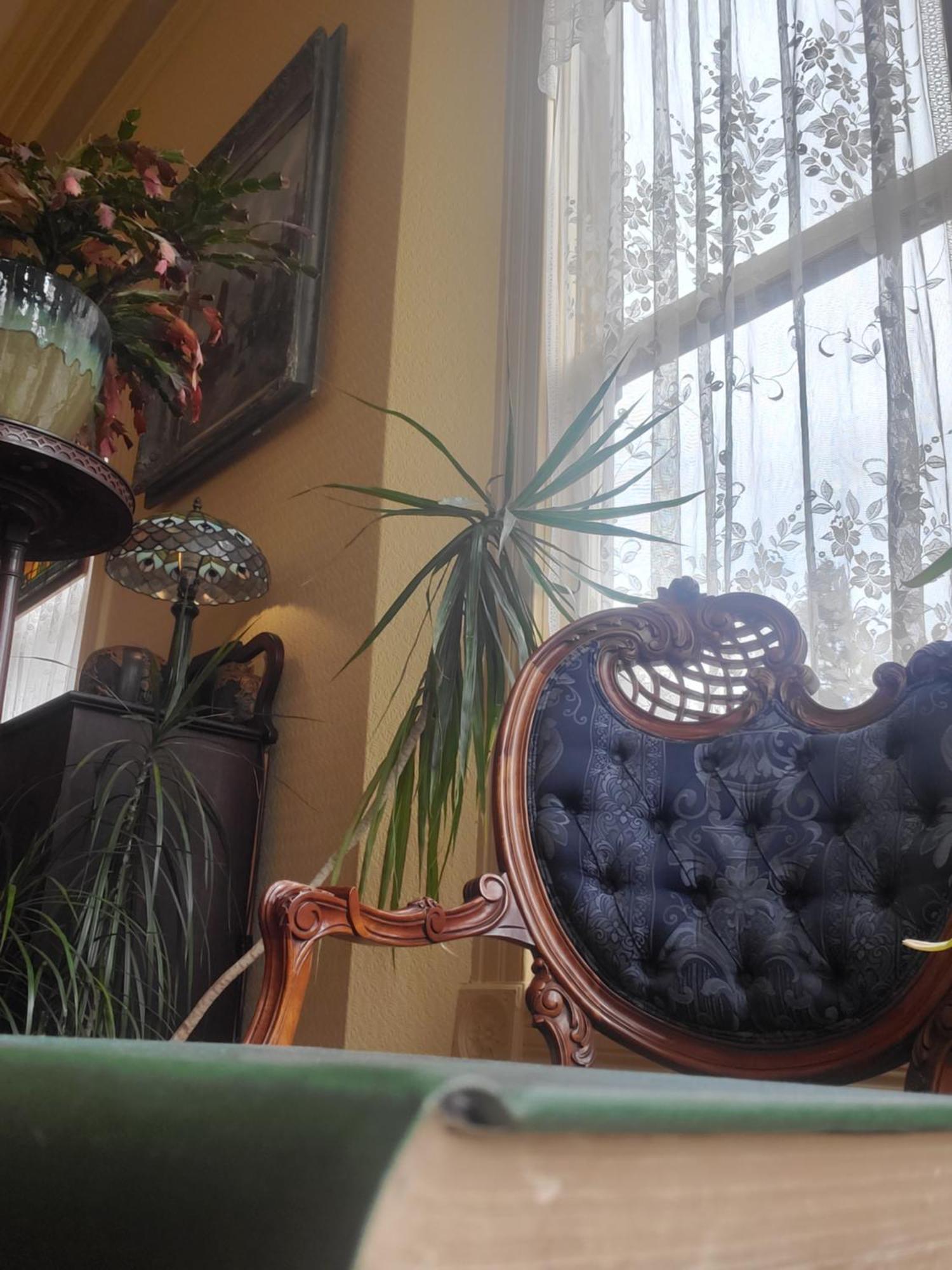 Adams Pragge House - Victorian Bed & Breakfast Port Townsend Bagian luar foto